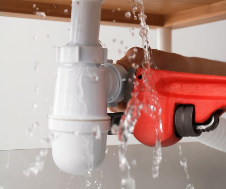 Home Painter Charlotte 1 768x644