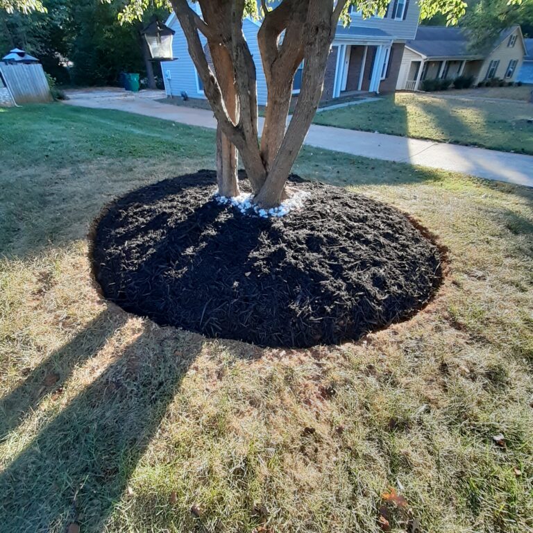 inbound3407430527926212450 768x768