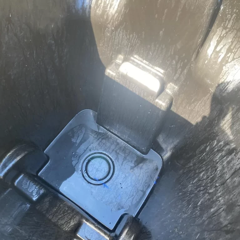 inbound4594488180141911996 768x768