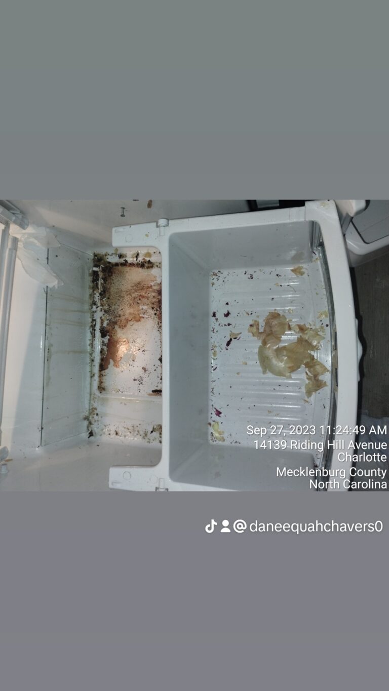 inbound59699407534101013 768x1365