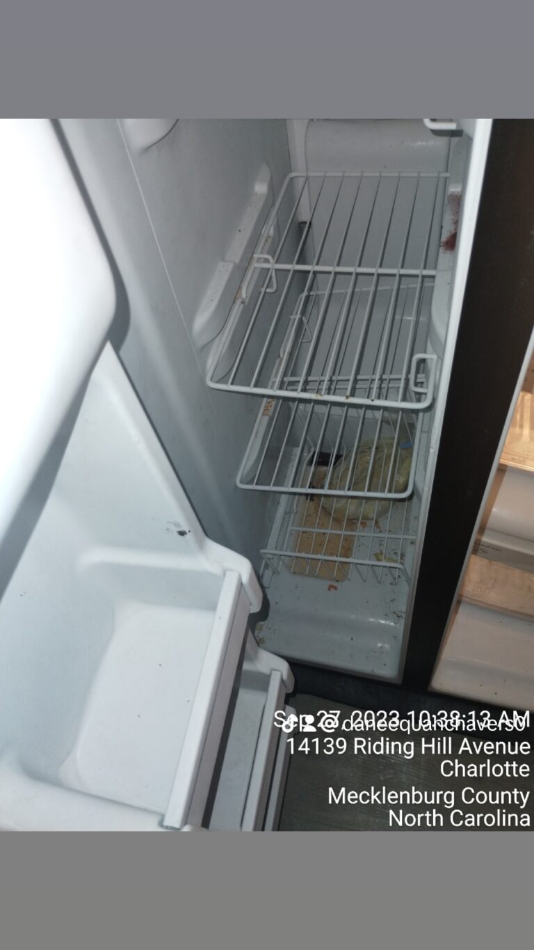 inbound7026668985341248167 768x1365