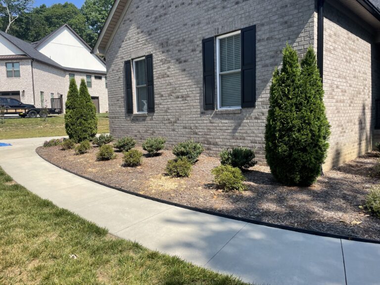 64677EFB FF3B 4AA7 B065 5BA9DA9B9987 min 768x576