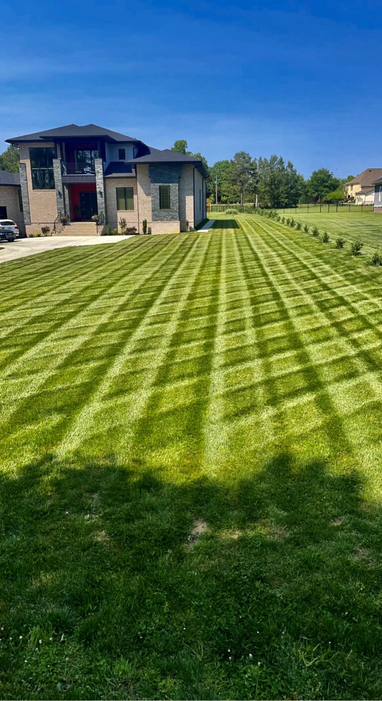 89451D73 F7F2 4167 AC7E 2FE9A9CE9F07 768x1408