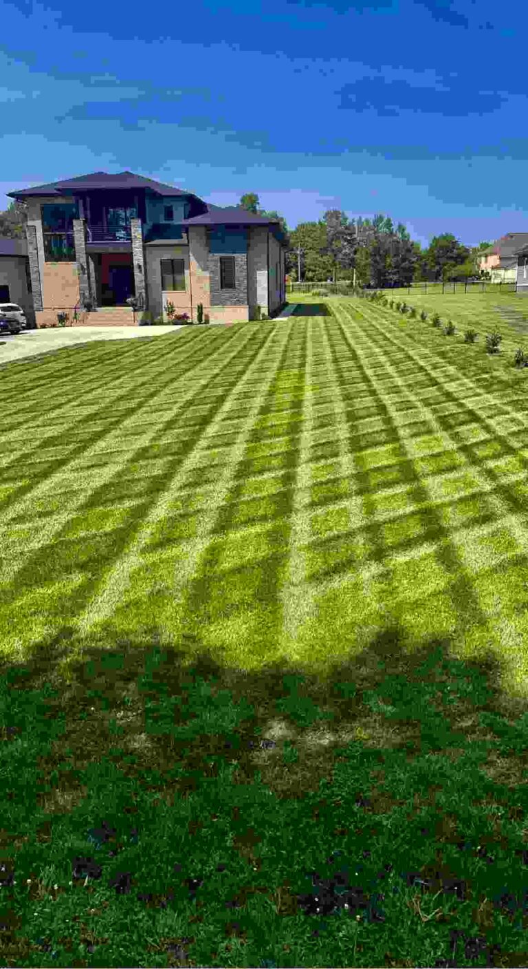 89451D73 F7F2 4167 AC7E 2FE9A9CE9F07 768x1408