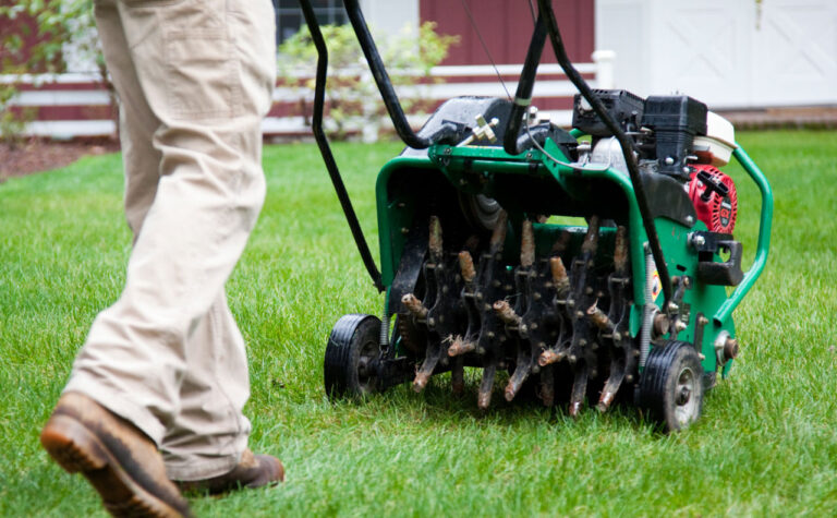 Aerating Lawn 768x475