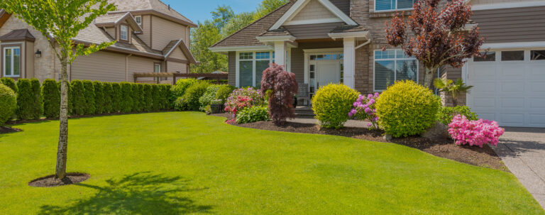 Best Landscaper Charlotte NC 768x303