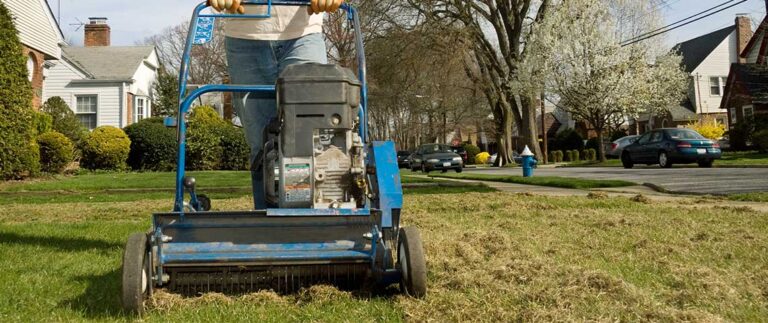 How to Dethatch Your Lawn 768x323