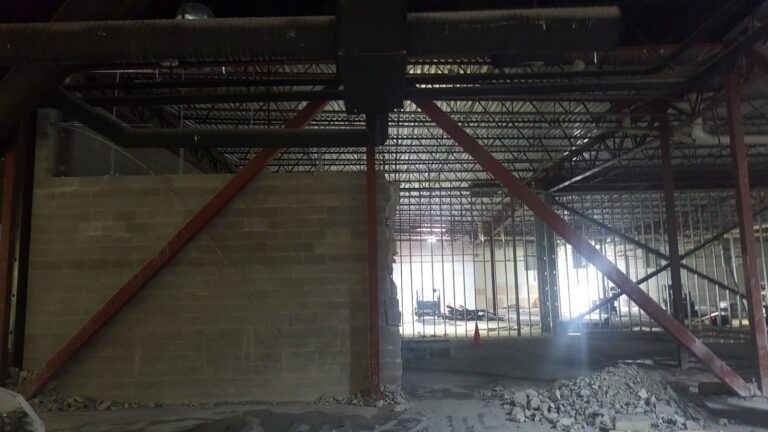 IMG 5cbf4eb456cafa316941dcd8d3ad4f85 V 768x432