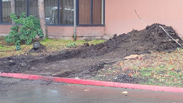 IMG 7e3392175a296015ec90b02eb040a749 V 768x432