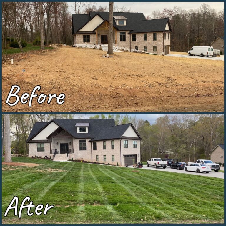 IMG 0646 clean 768x768