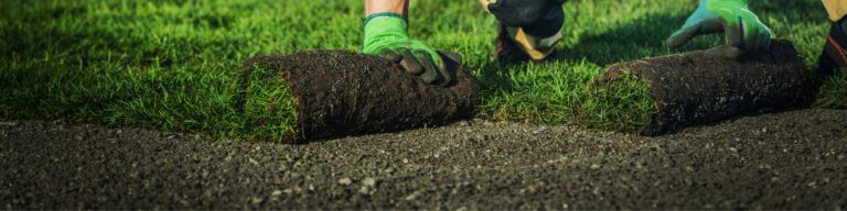 Landscaping indian Trail NC Signature Lawn And Landscape 768x192