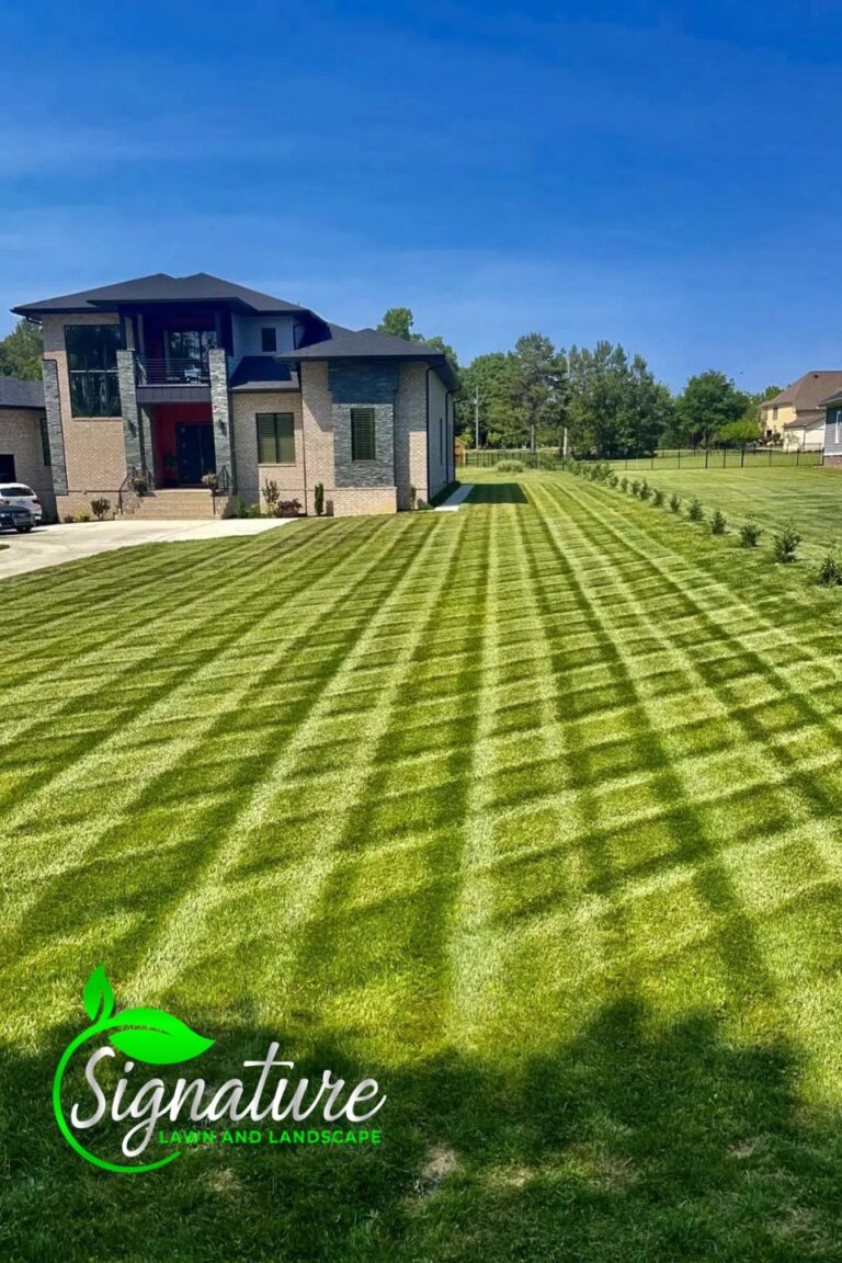 Lawn Care Charlotte NC 768x1152