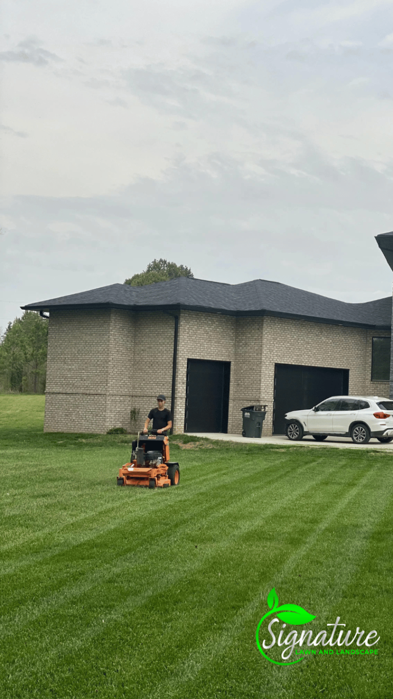 Lawn Levling 768x1365