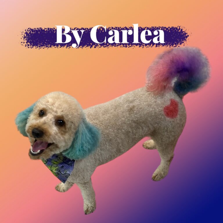 PhotoRoom 20231010 153733 768x768