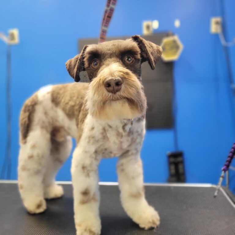 Resized IMG 20230908 111545 479 768x768