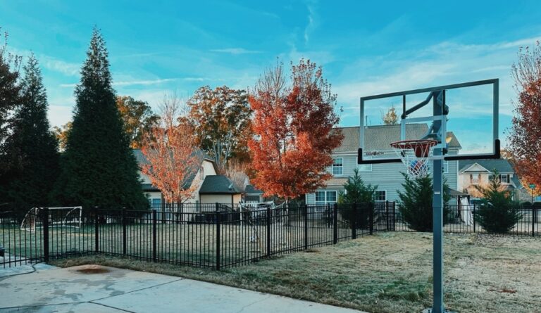 Untitled design 3 1 768x445