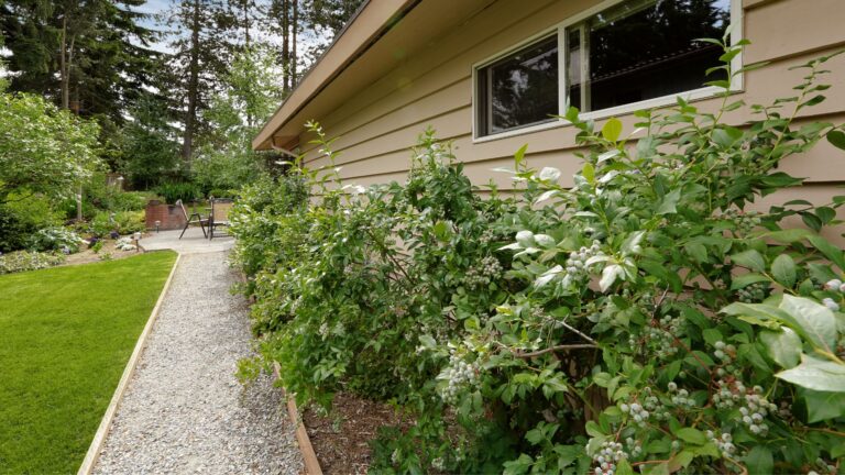 Untitled design 3 2 768x432