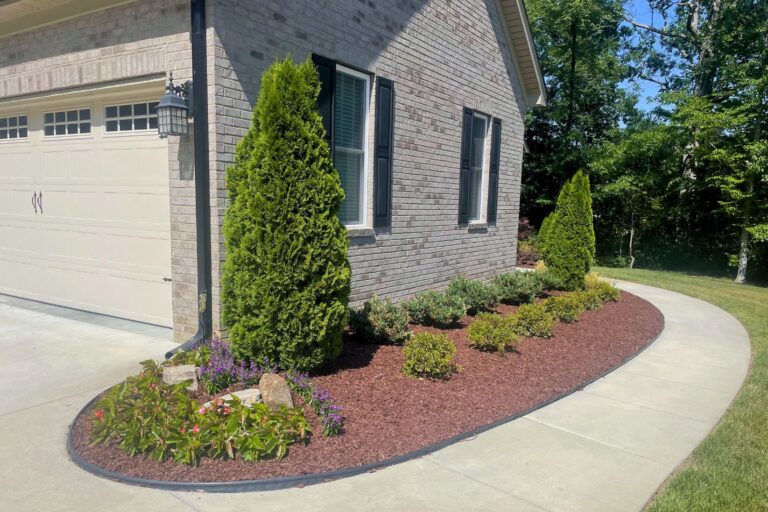 before and after Mulching in Charlotte NC Signature lawn and landscape 768x512