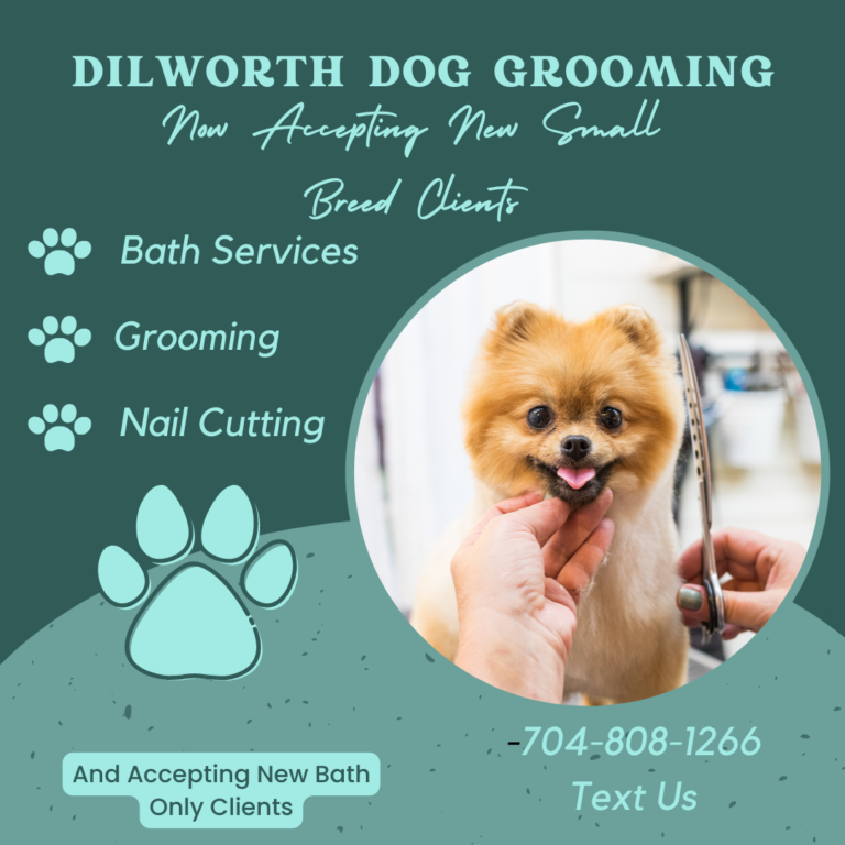 dIlworth Dog Grooming 768x768