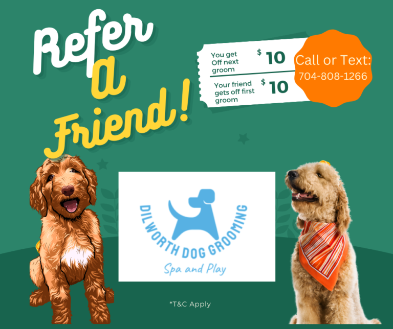 friend bonus 768x644