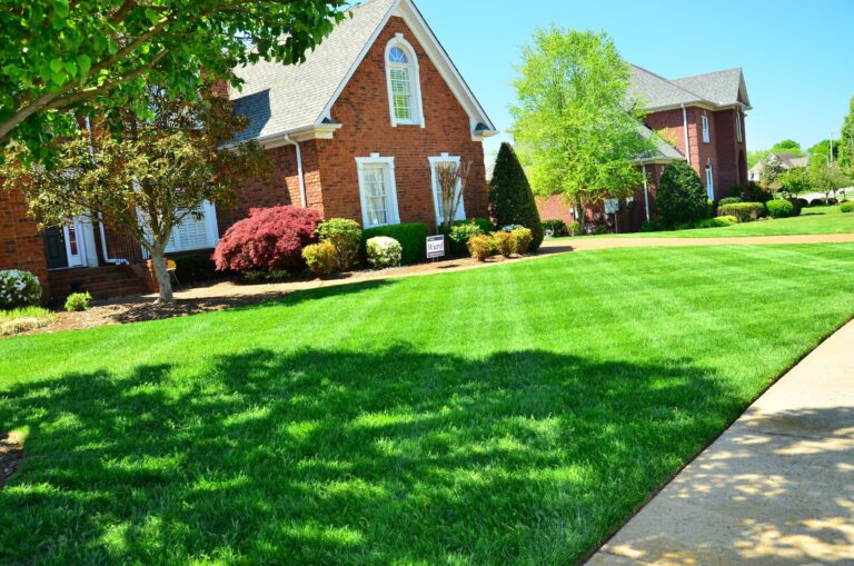 lawn care 643561 768x509