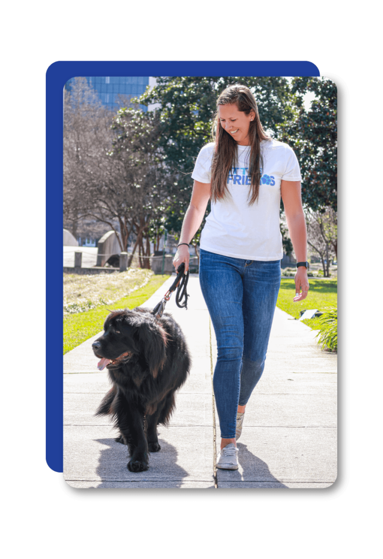 654d020af0ccb0000e9d29c8 optimized 743 e895x1305 76x110 1 768x1120