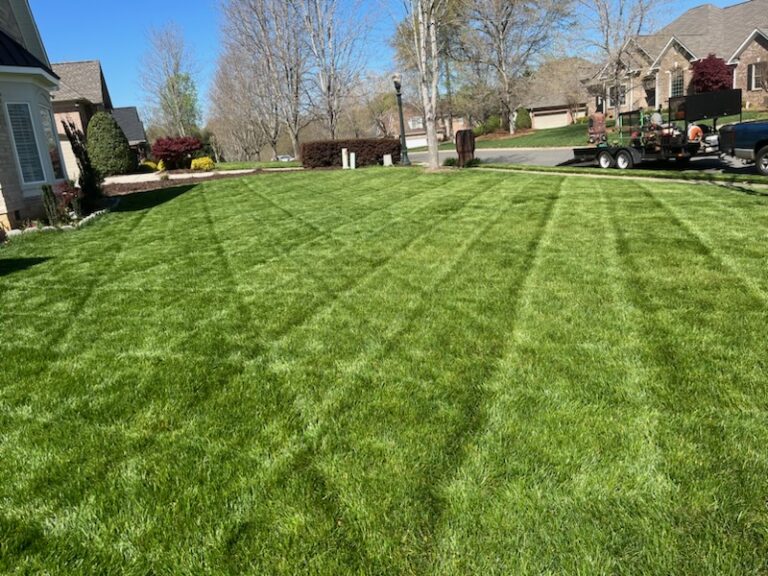 IMG 20240102 085429 768x576