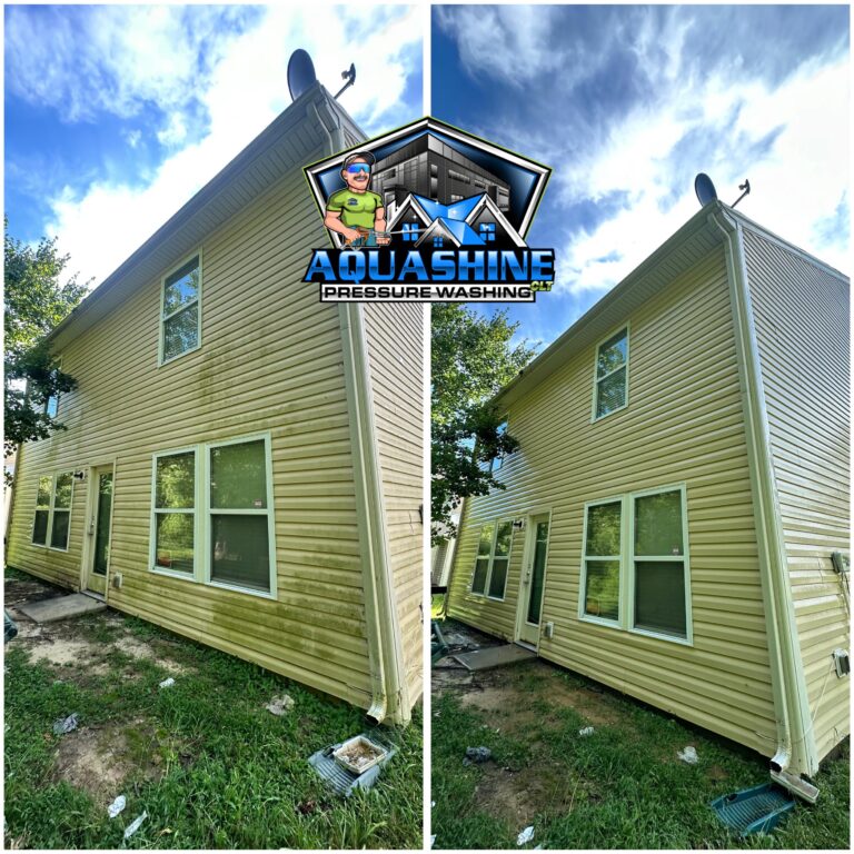 Imagen de WhatsApp 2025 04 05 a las 09.10.33 a0b92b44 768x768