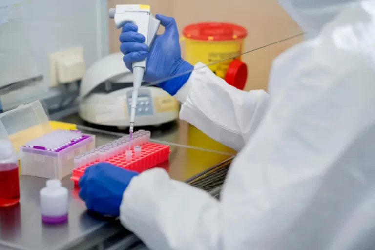 purma image 3 768x512