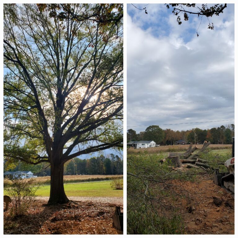 20241102 152032 768x768