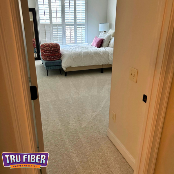 charlotte loop media