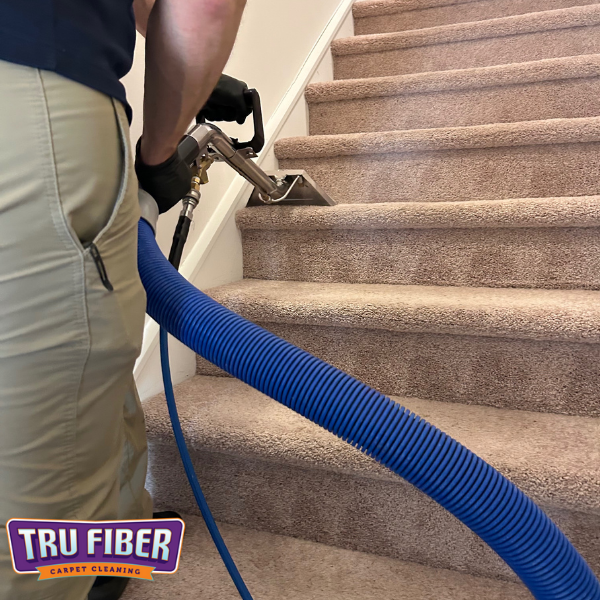 upholstery landing page loop 24 1