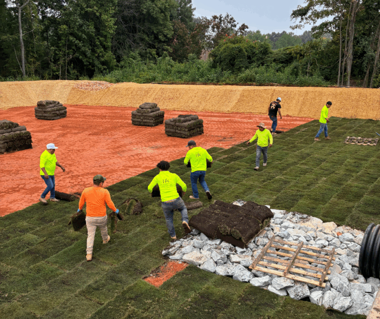 HLC Photography Options Facebook Post 3 768x644