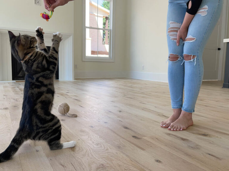 light hardwood floor refinishing company Charlotte 768x573