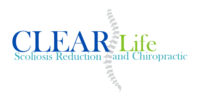 Logo Option 3 768x386